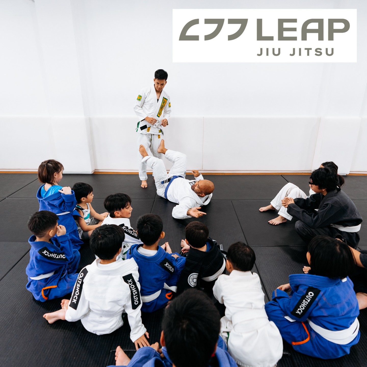Leap Jiu Jitsu